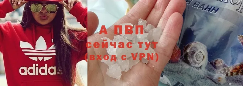 Alfa_PVP СК Жуков